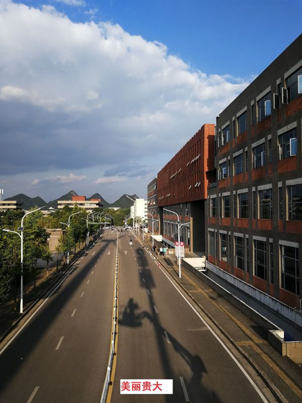 貴州某高校為本校區(qū)內(nèi)600多盞路燈更換LED燈頭及加裝太陽能LORA調(diào)光控制模塊，達(dá)到了節(jié)能和智能控制的目的。